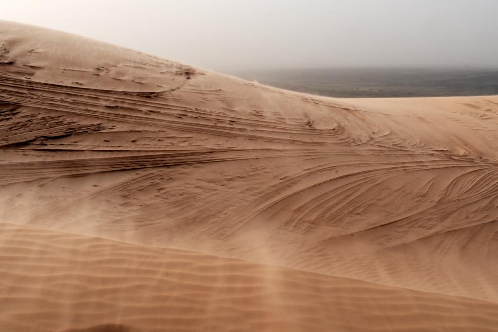 Oasis d'Azouiega [Mauritanie] - 2022 