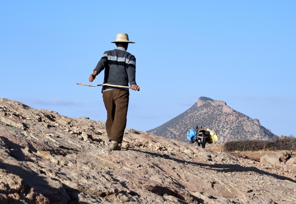 Bergeries du Djebel Til [Maroc] - 2023