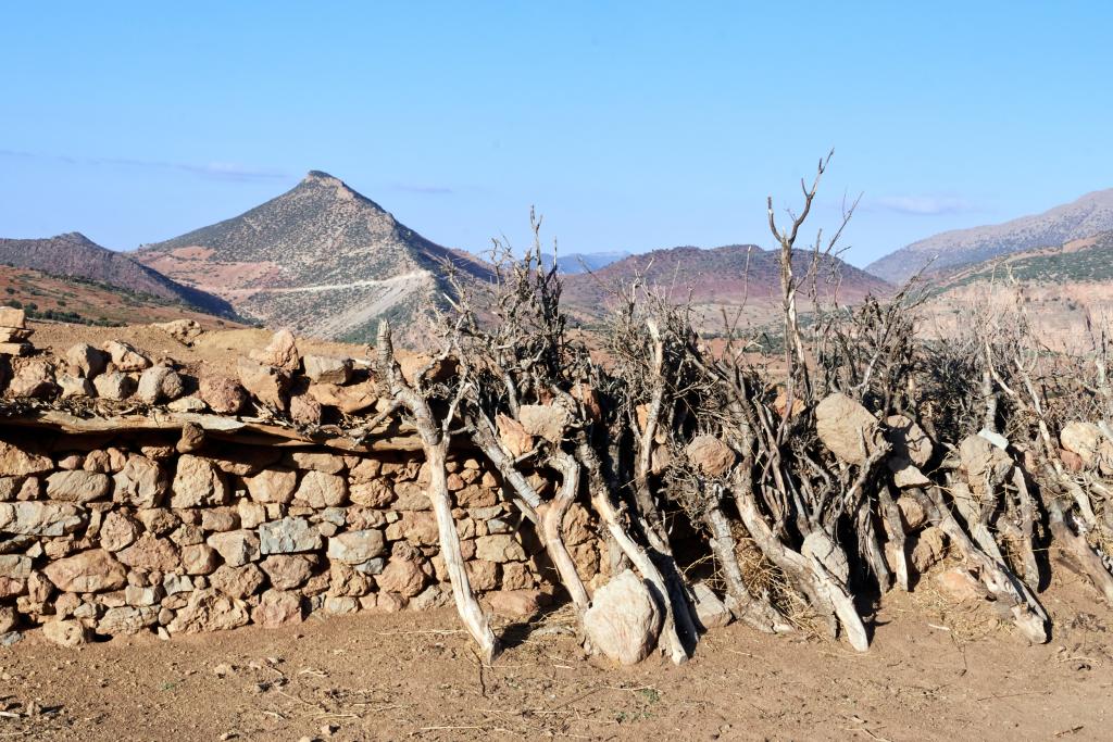 Bergeries de Tinilwit, Djebel Til [Maroc] - 2023