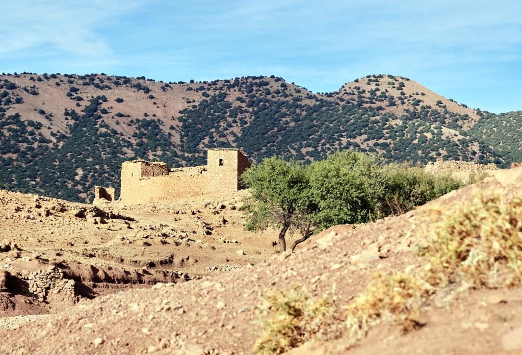 Plateau du Djebel Til [Maroc] - 2023