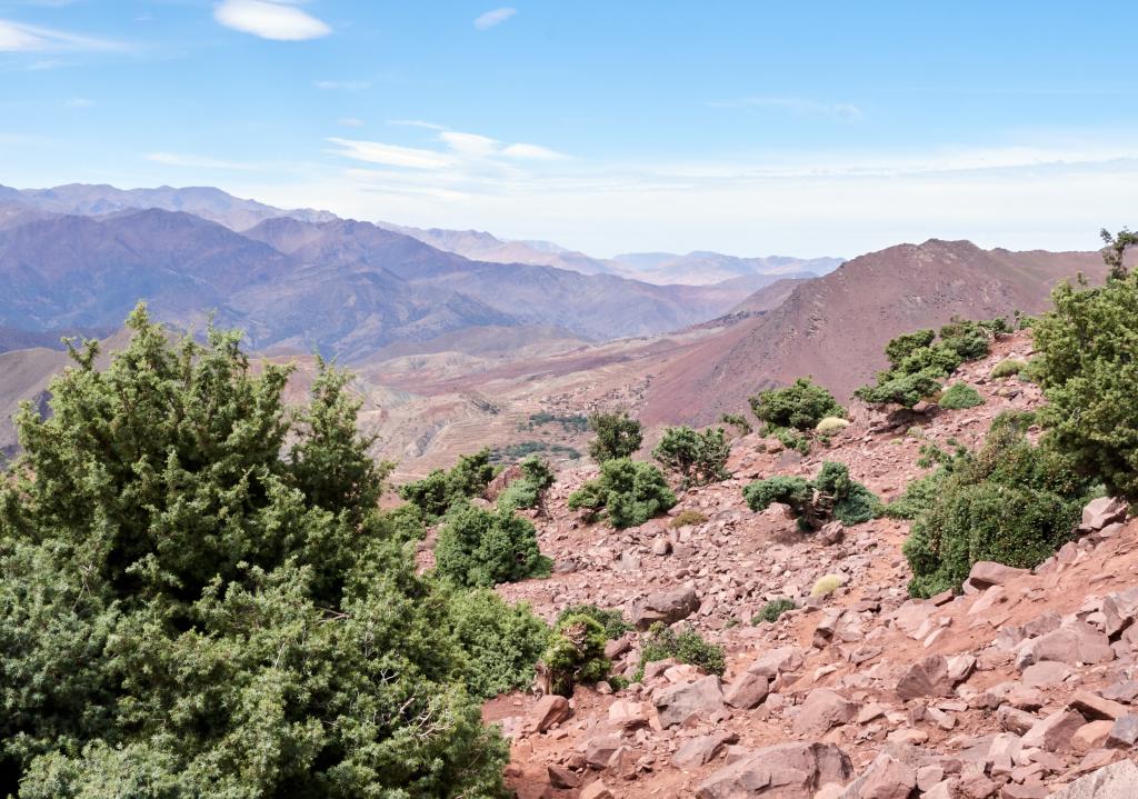 Descente vers Aït Mgharine [Maroc] - 2023