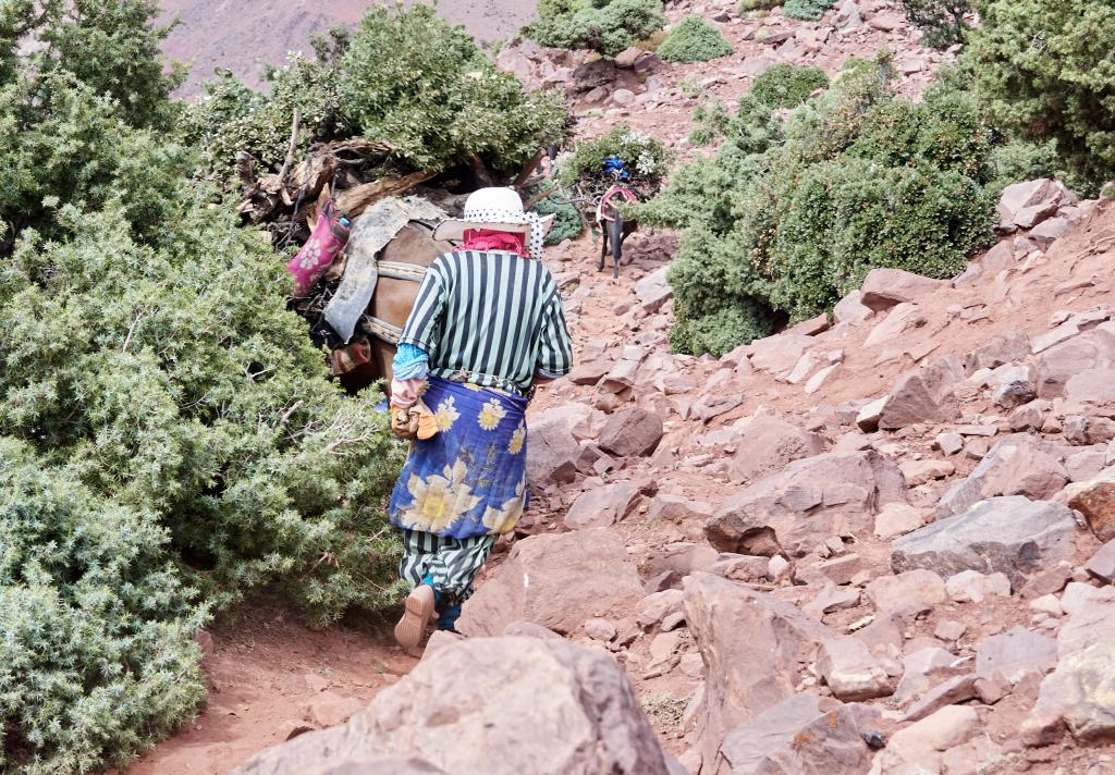 Descente vers Aït Mgharine [Maroc] - 2023