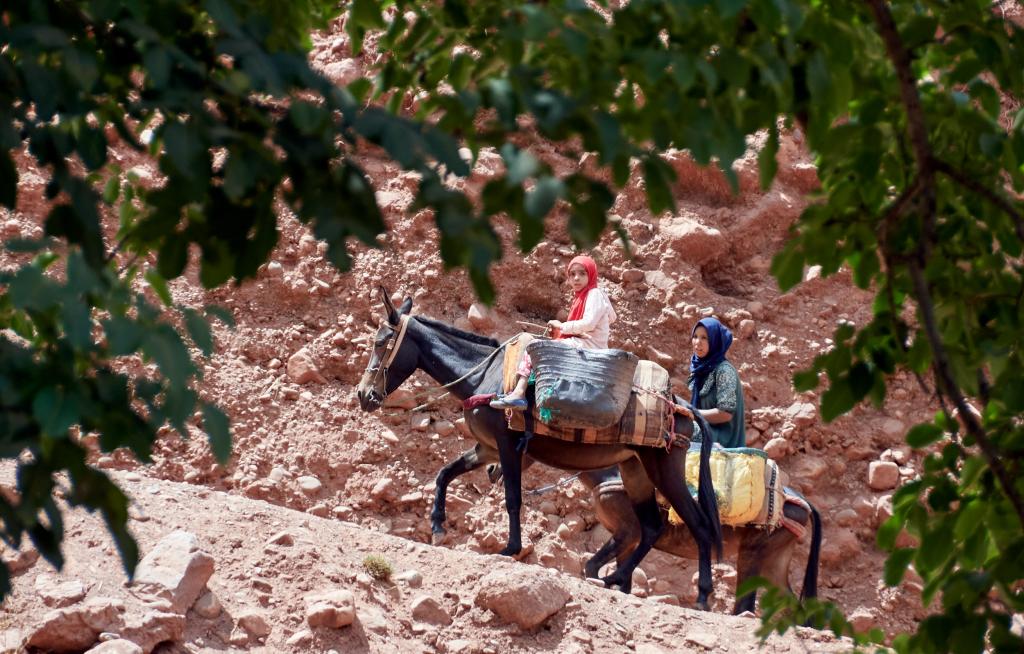 Remontée vers le village d'issfoula [Maroc] - 2023