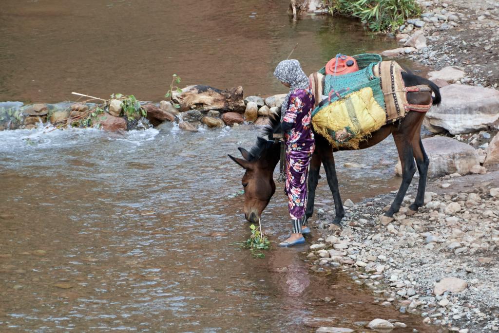 La Tessaout, en contrebas du village d'issfoula [Maroc] - 2023