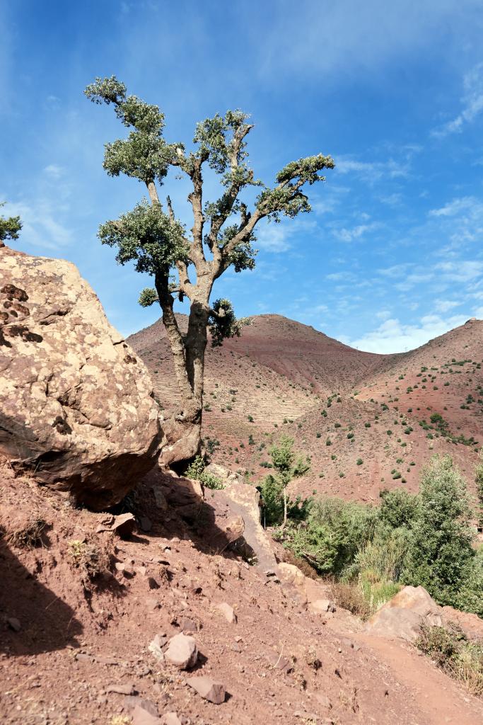 Montée de l'Assif Aït Hmid [Maroc] - 2023