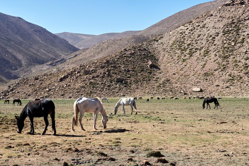 Djebel Tazoult [Maroc] - 2023