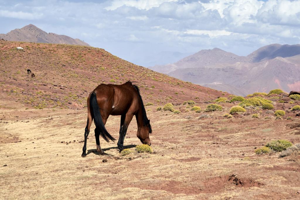 Djebel Tazoult [Maroc] - 2023