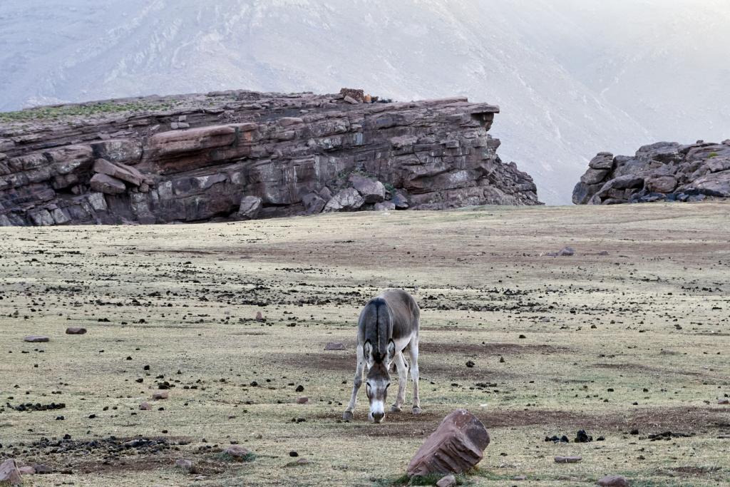 Djebel Ibghil [Maroc] - 2023 