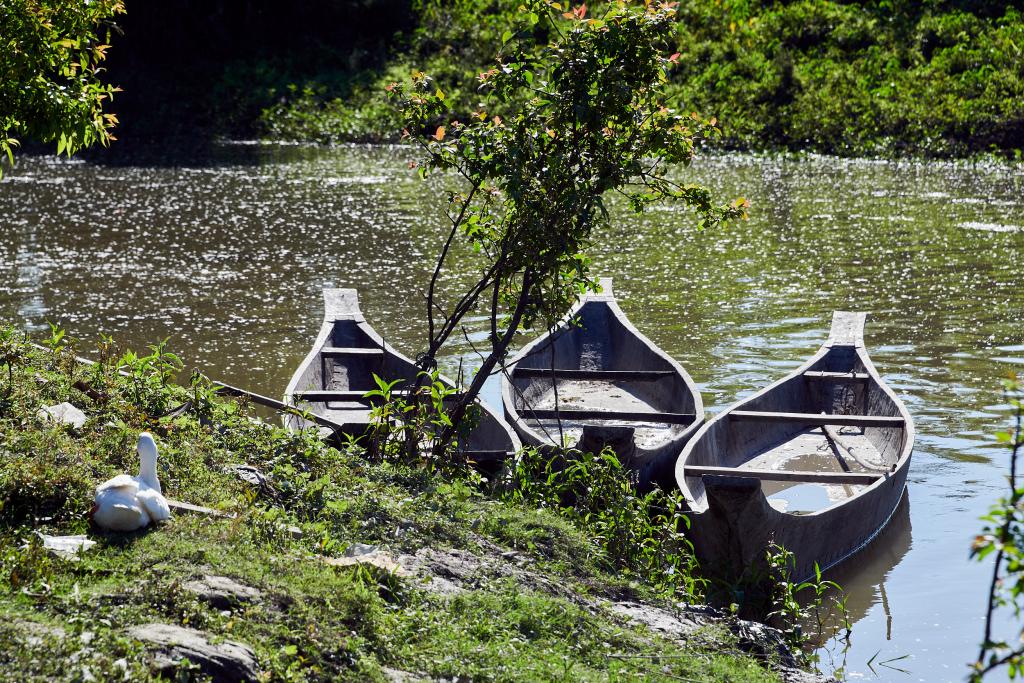 [Majuli, Assam, Inde] - 2023 