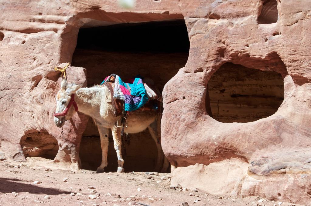 Petra [Jordanie] - 2023