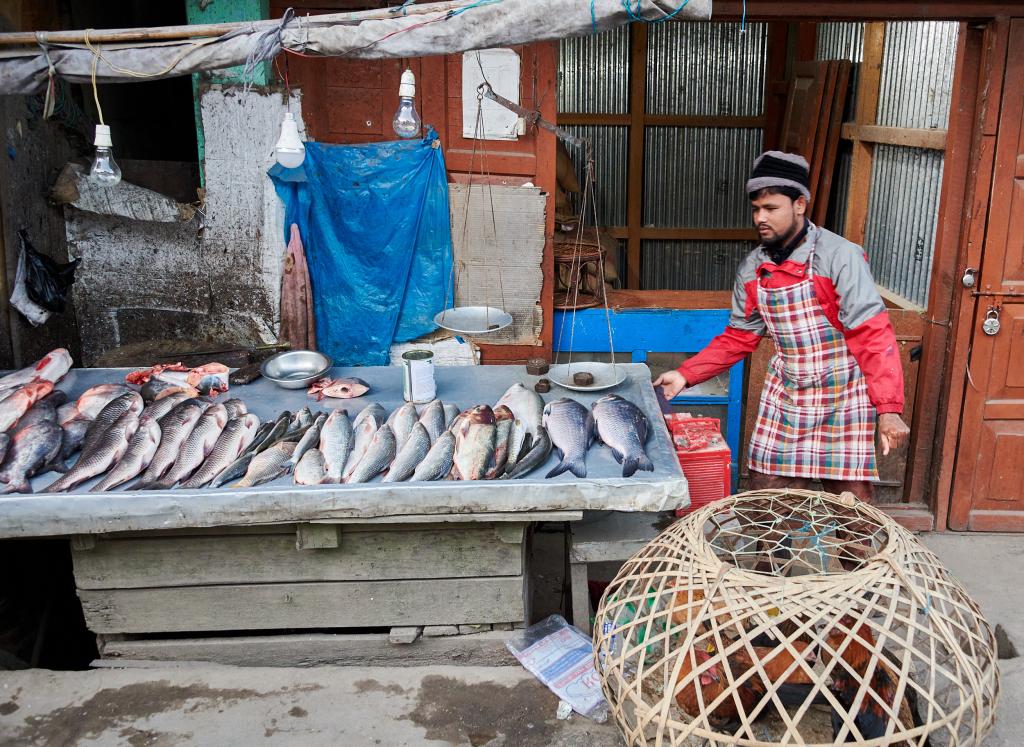 Poissons et volailles, Hapoli [Arunachal Pradesh, Inde] - 2023