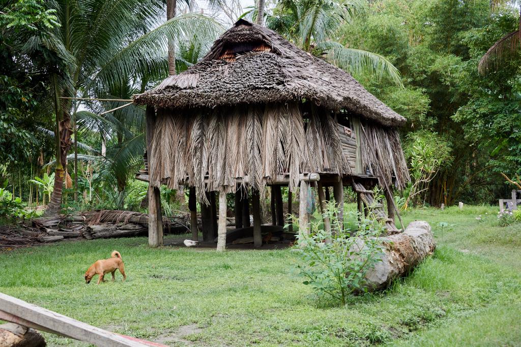 Kanganamun, Moyen-Sepik [Papouasie Nouvelle Guinée] - 2024