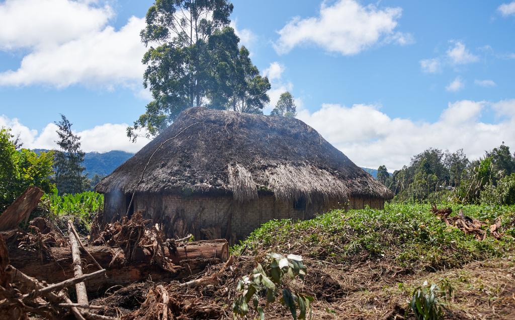 Région de Tambul, Hautes-Terres [Papouasie Nouvelle Guinée] - 2024 