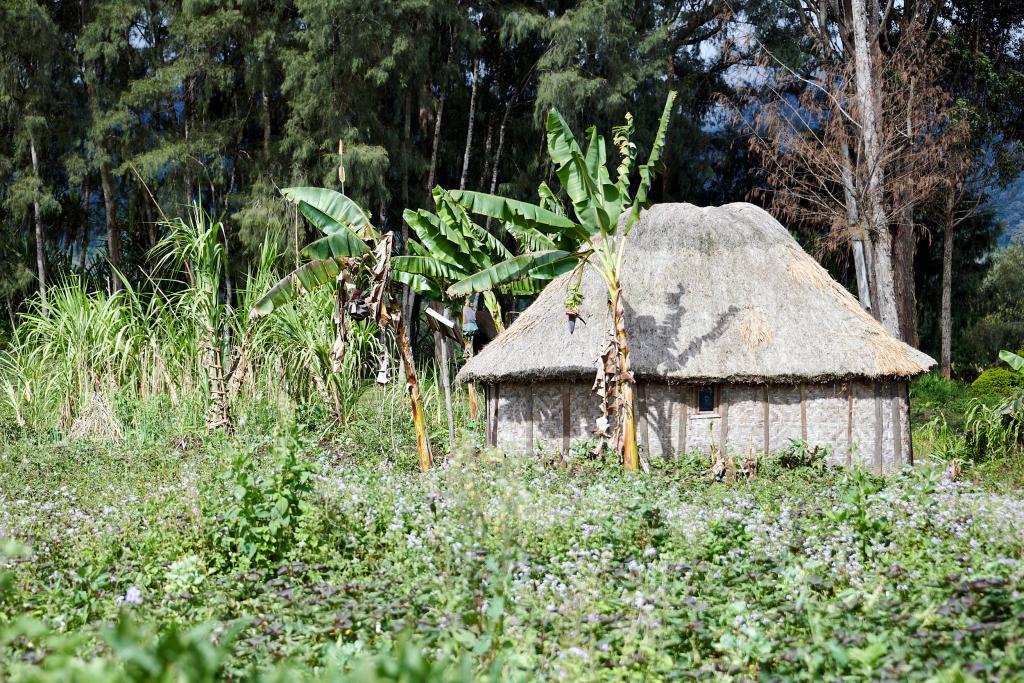 Région de Tambul, Hautes-Terres [Papouasie Nouvelle Guinée] - 2024 