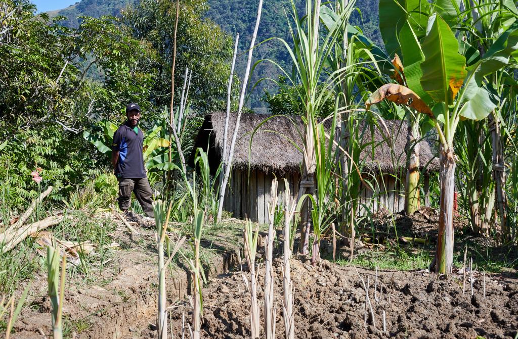 Kagai, province de Simbu, Hautes-Terres [Papouasie Nouvelle Guinée] - 2024 