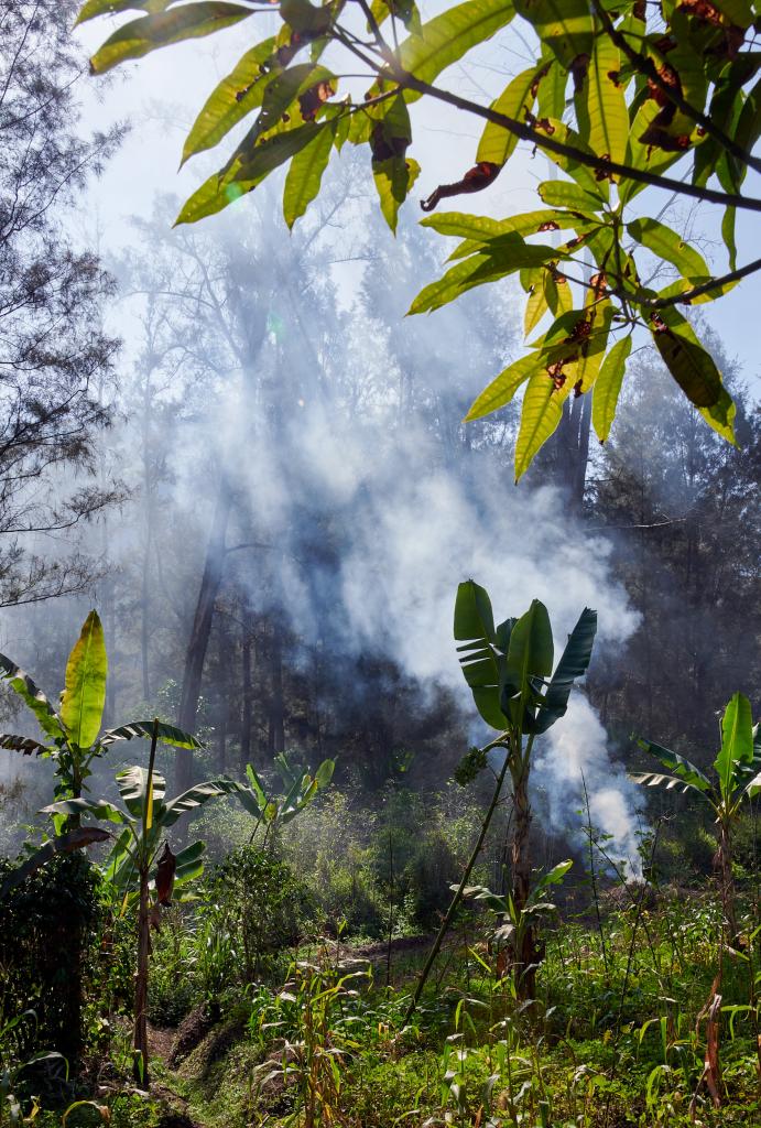 Kagai, province de Simbu, Hautes-Terres [Papouasie Nouvelle Guinée] - 2024 