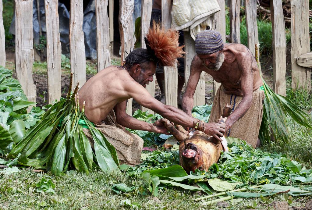 Préparation d'un mu-mu : on râcle les soies du cochon [Papouasie Nouvelle Guinée] - 2024 