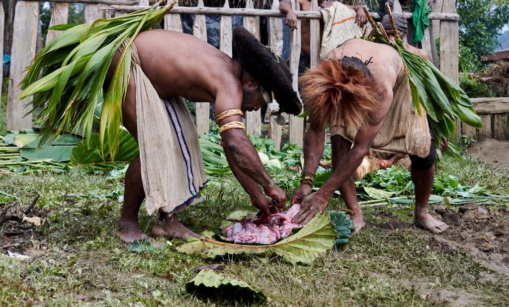 Préparation d'un mu-mu : découpe du cochon [Papouasie Nouvelle Guinée] - 2024 