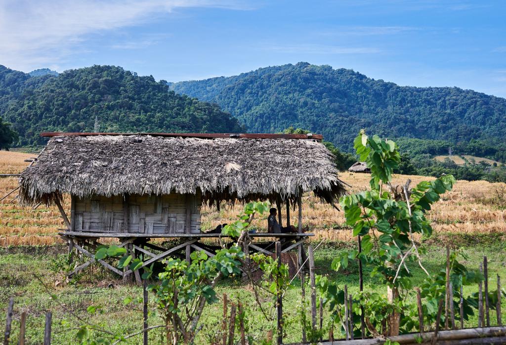 Travail des champs à Pangin [Arunachal Pradesh, Inde] - 2023 