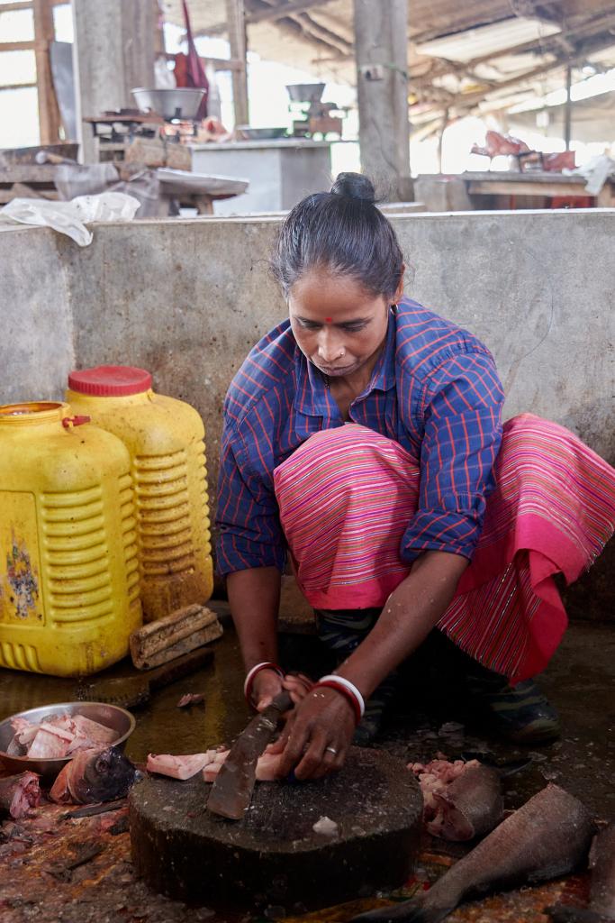 Marché aux poissons de Pasighat [Arunachal Pradesh, Inde] - 2023