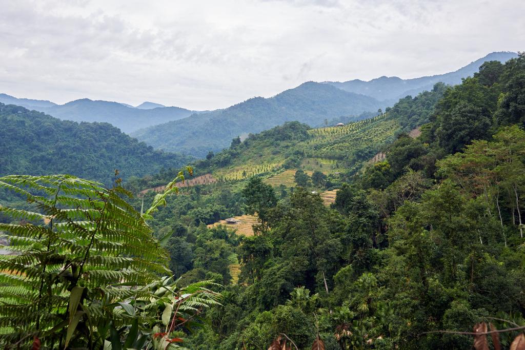 Entre Mopung et Molom [Arunachal Pradesh, Inde] - 2023 