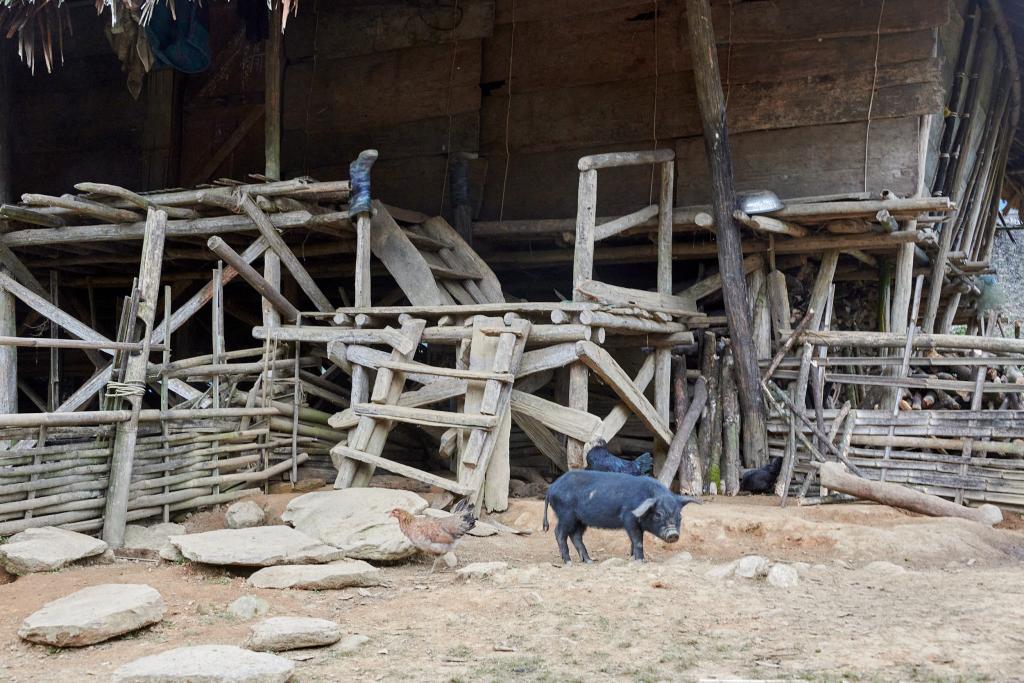 Village de Bingung [Arunachal Pradesh, Inde] - 2023 