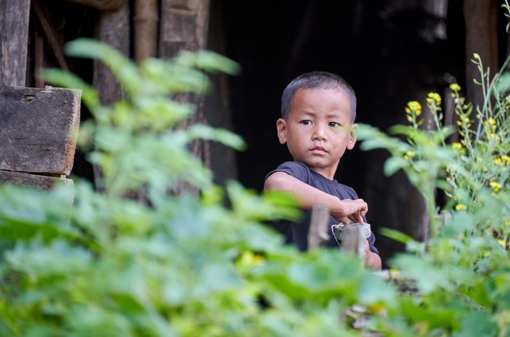 Village de Hongphoi [Arunachal Pradesh, Inde] - 2023