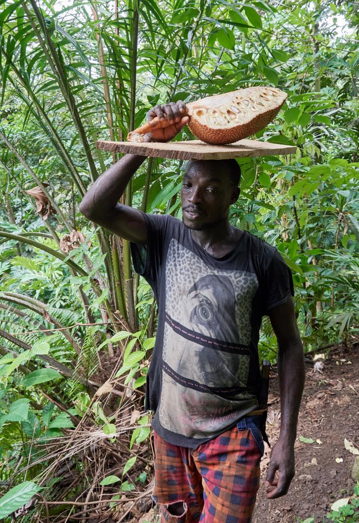 Région de San Joao [Sao Tomé] - 2024