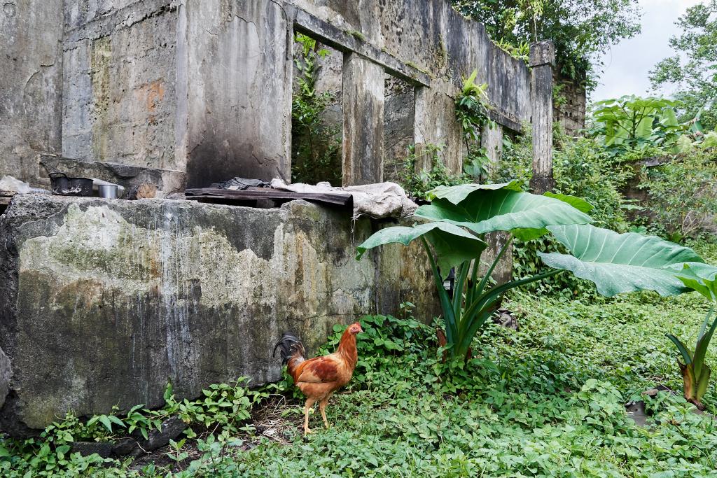 Région de Sao Joao [Sao Tomé] - 2024