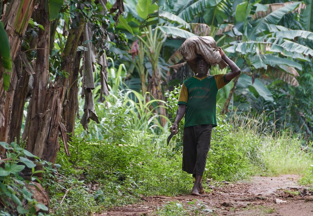 Ile das Rolas [Sao Tomé] - 2024