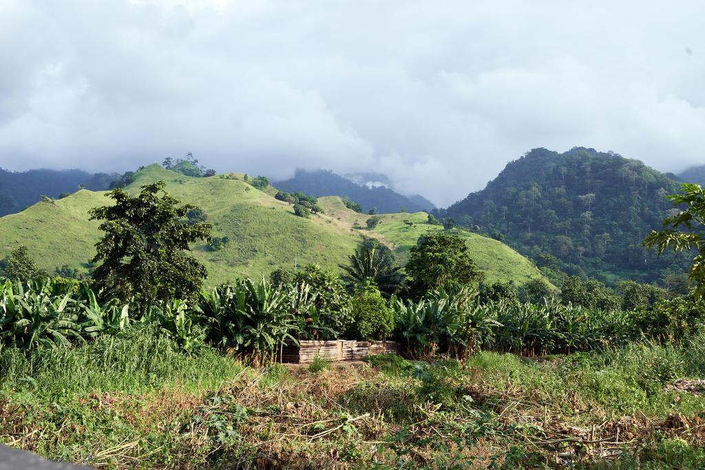 Neves [Sao Tomé] - 2024 