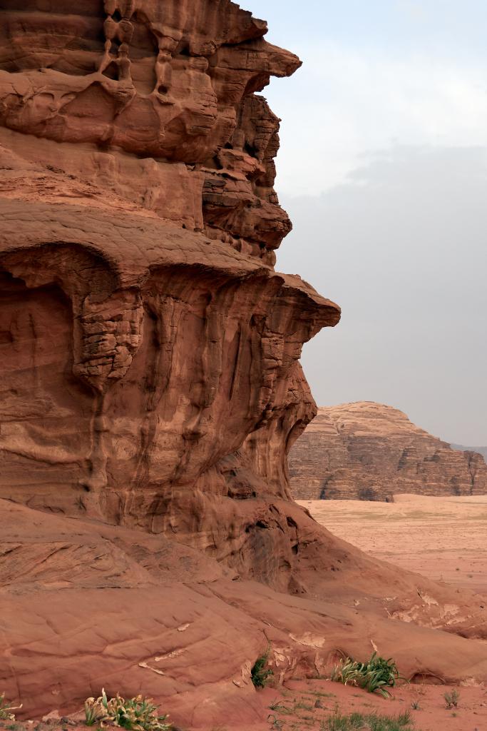 Djebel Burdah, Wadi Rum [Jordanie] - 2023