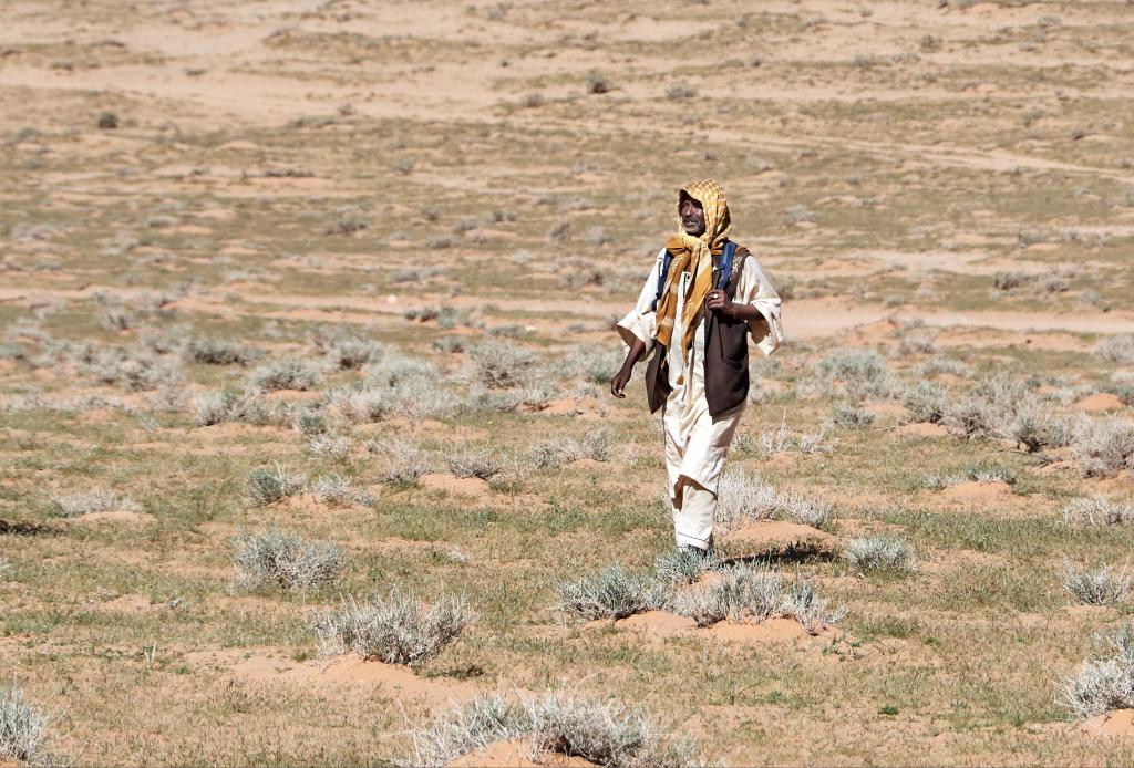 Wadi Rum [Jordanie] - 2023