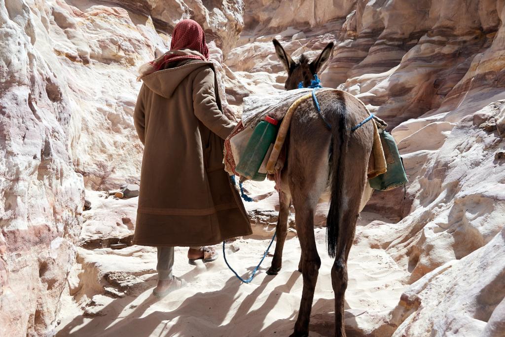 La Vallée blanche  [Jordanie] - 2023