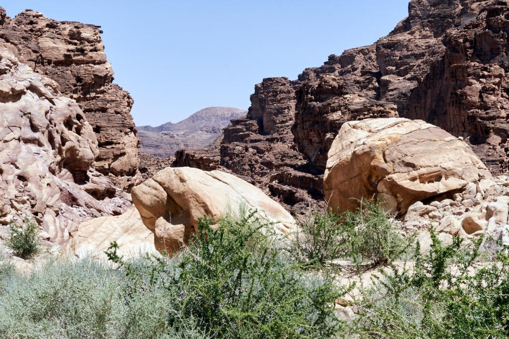 La Vallée blanche  [Jordanie] - 2023