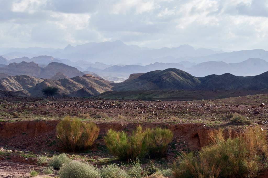 Wadi Saif [Jordanie] - 2023