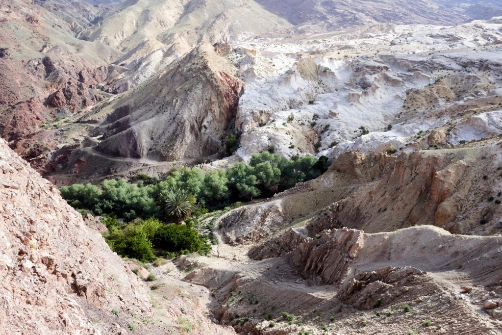 Wadi Mashazah [Jordanie] - 2023