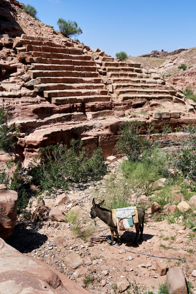 Wadi Sabra [Jordanie] - 2023