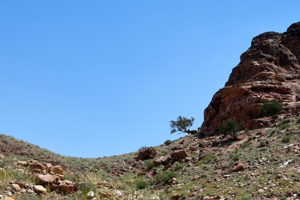 Wadi Sabra [Jordanie] - 2023