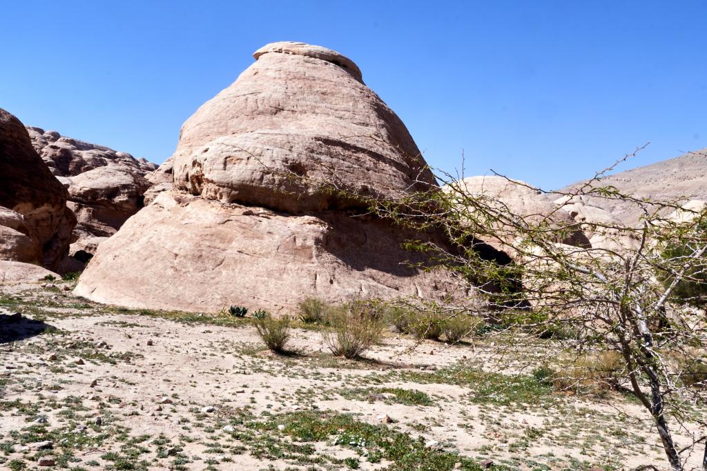 Wadi Sabra [Jordanie] - 2023