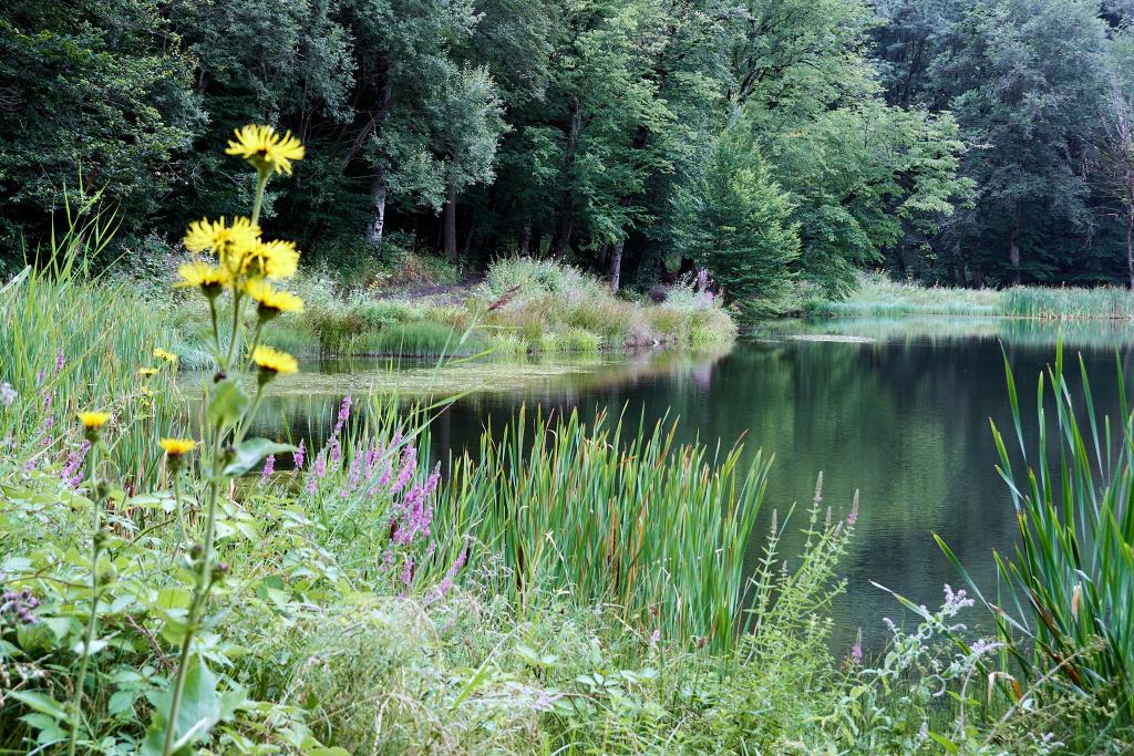 Lac Gosh, parc national de Dilidan [Arménie] - 2022