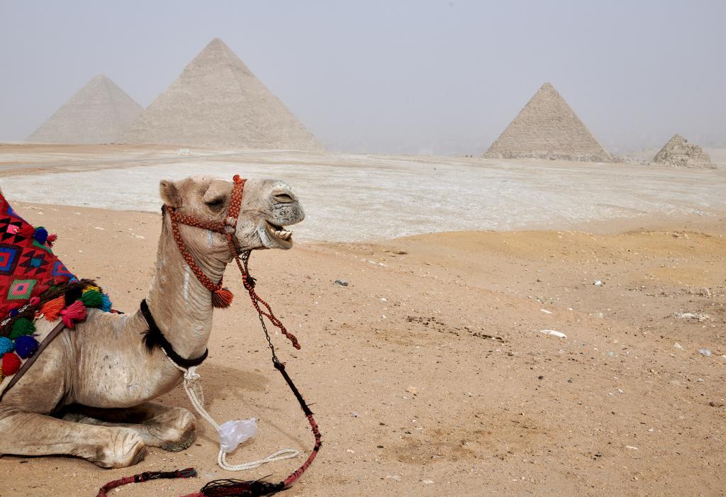 Pyramides de Guizeh [Egypte] - 2022 