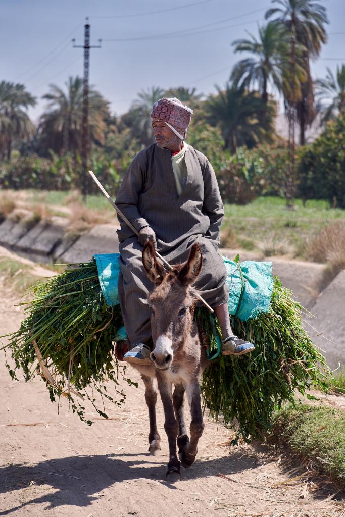 Village de Ramadi [Egypte] - 2022