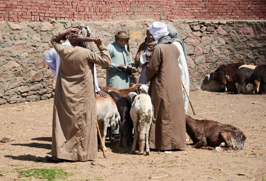 Le marché de Daraw [Egypte] - 2022