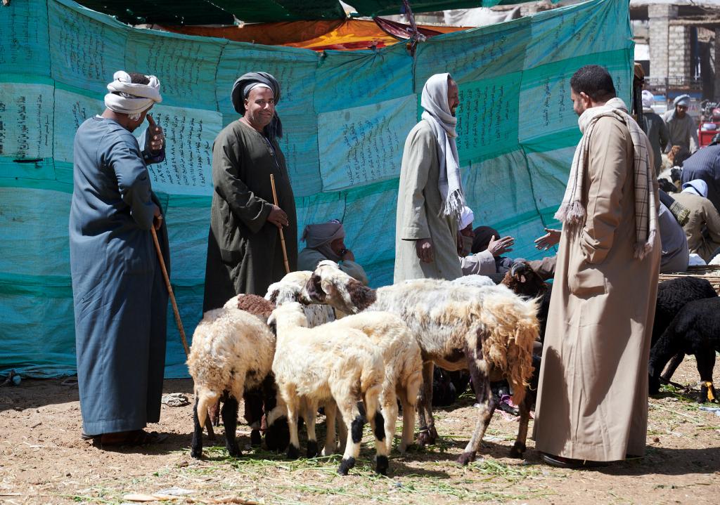 Le marché de Daraw [Egypte] - 2022