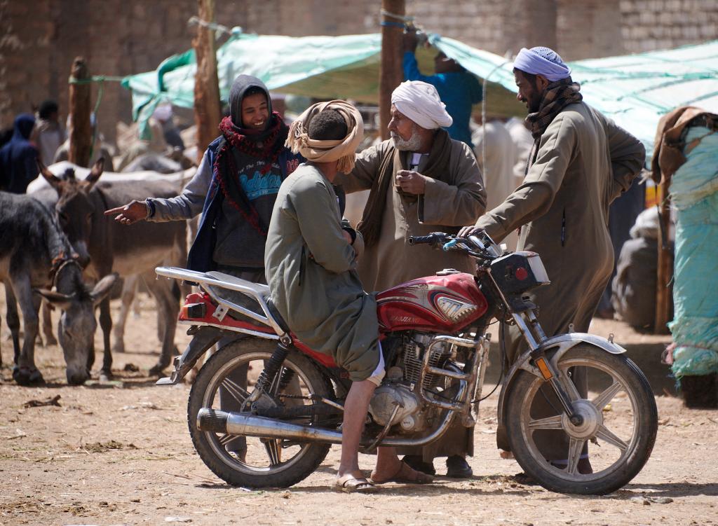 Le marché de Daraw [Egypte] - 2022