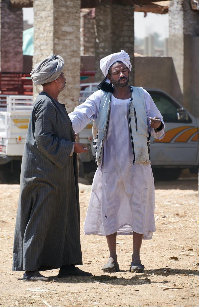 Le marché de Daraw [Egypte] - 2022