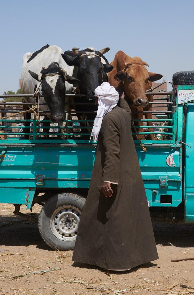 Le marché de Daraw [Egypte] - 2022