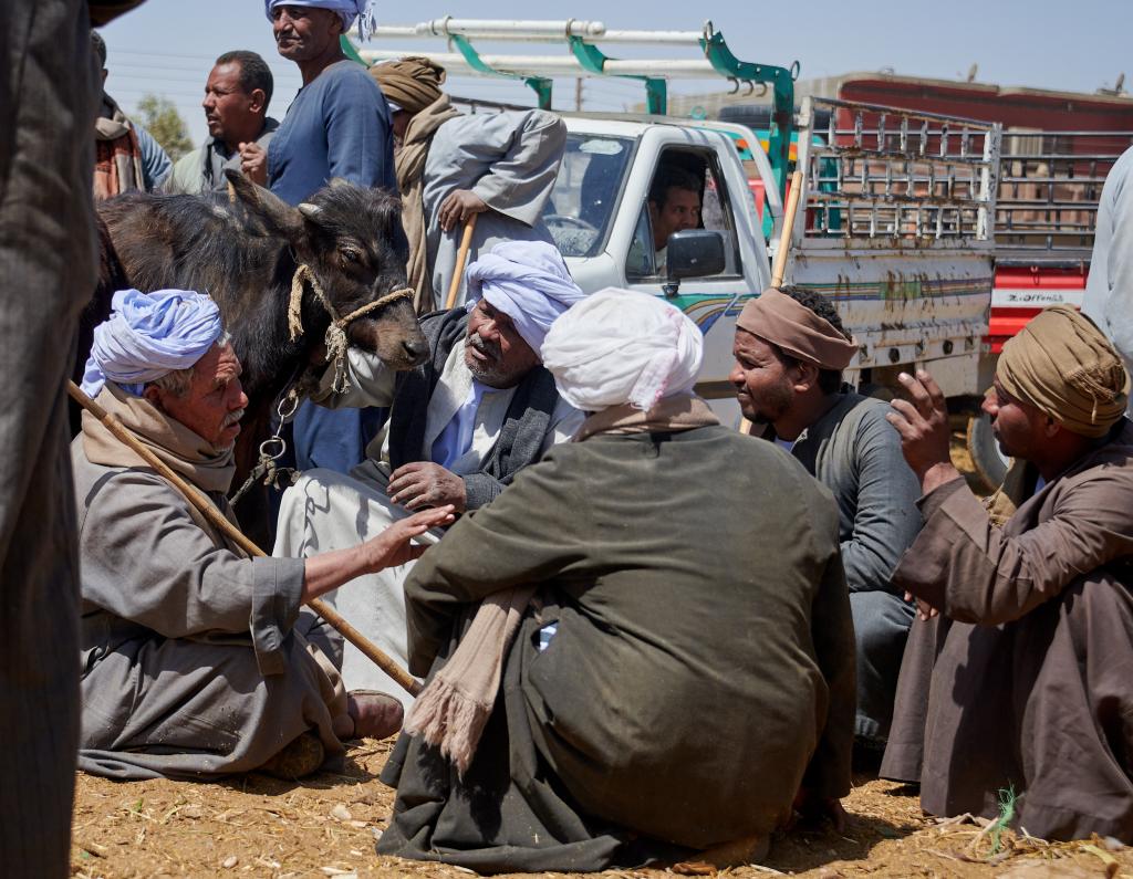 Le marché de Daraw [Egypte] - 2022