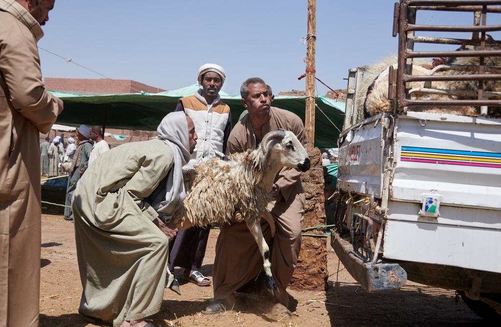 Le marché de Daraw [Egypte] - 2022